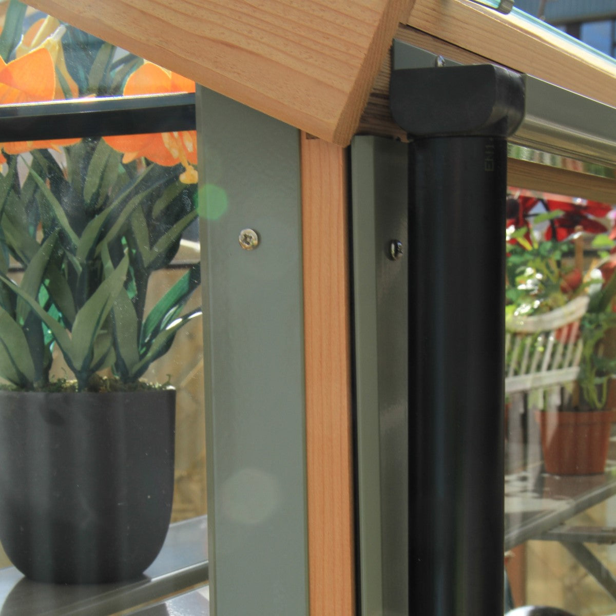 Alton | Lancing Victorian Cedar Glass Greenhouse With 3mm Tempered Glass Glazing - 10ft 9in Wide