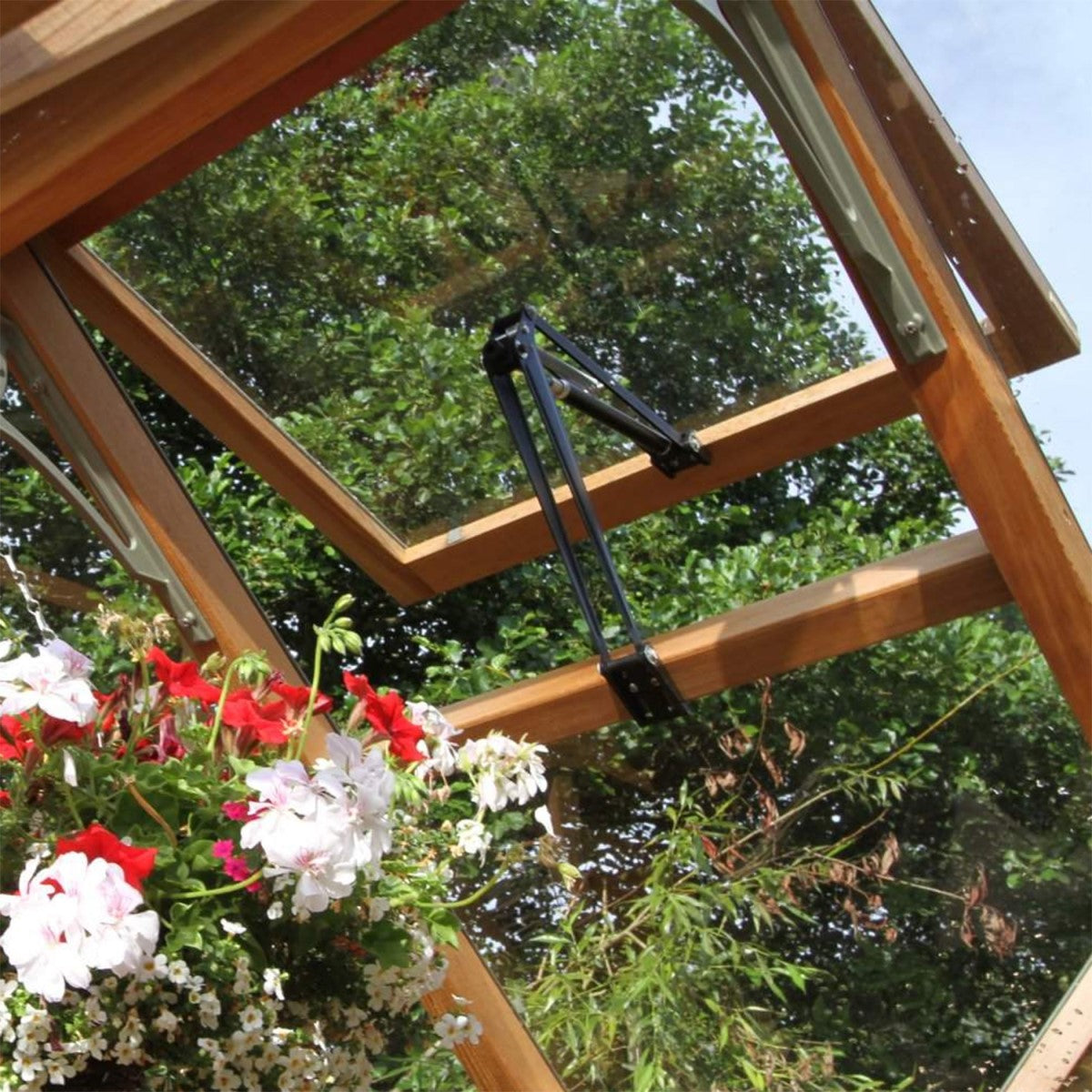 Alton | Lancing Victorian Cedar Glass Greenhouse With 3mm Tempered Glass Glazing - 10ft 9in Wide